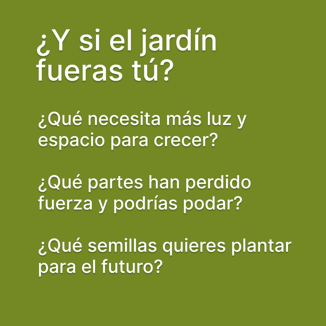 El jardín — 8